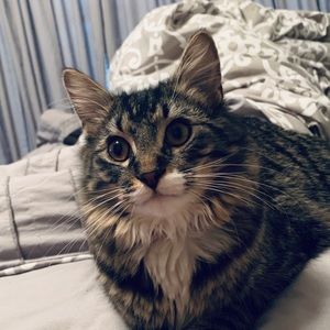 Meet your Posher, Brianna